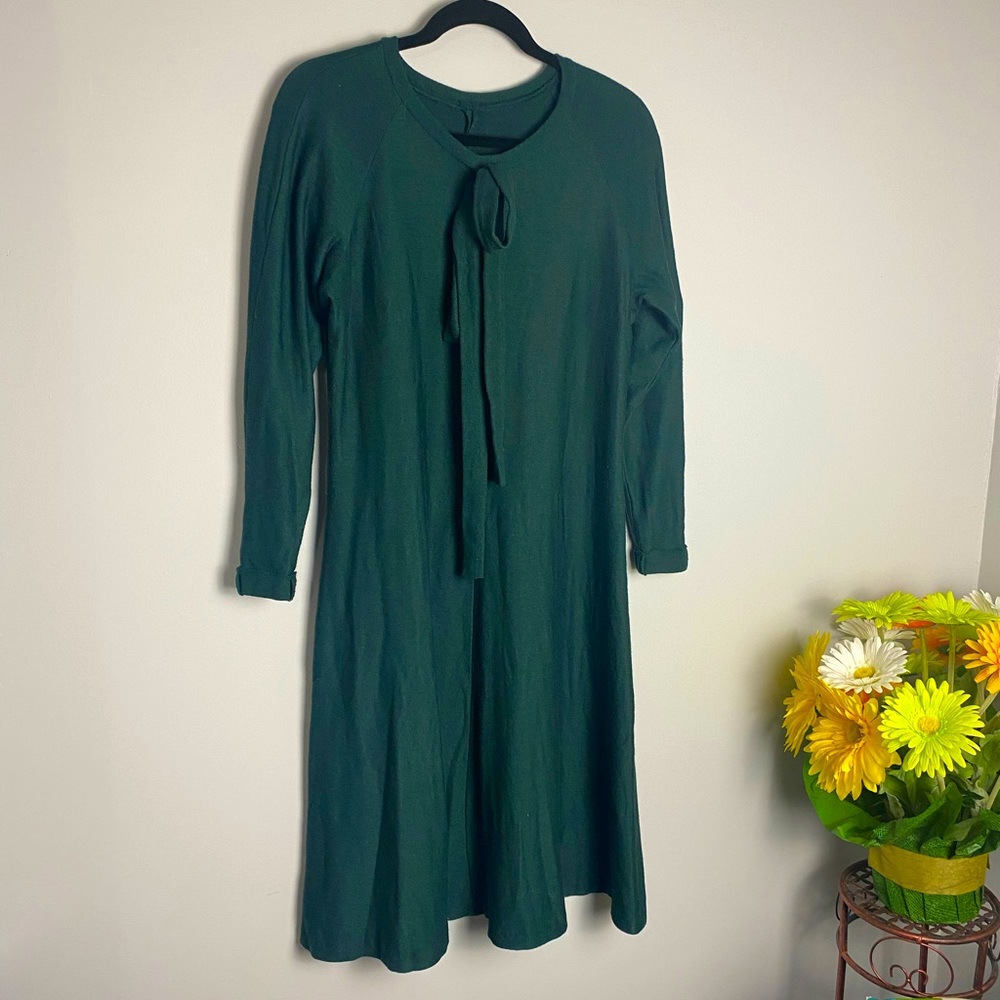 Fall/Winter Dress